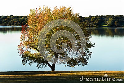 A tranquil lakeside view Stock Photo