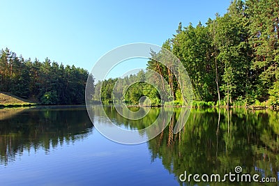 Tranquil landscape with a lake and pine forest Stock Photo