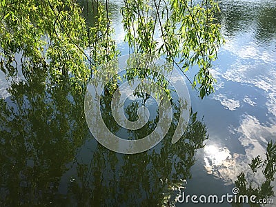 Tranquil landscape at a lake, with the vibrant skyr Stock Photo