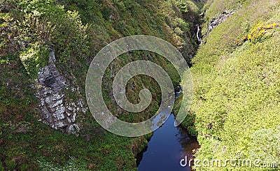 Tranquil mountain stream meandering through a lush, green valley in Lybster, Scotland Stock Photo