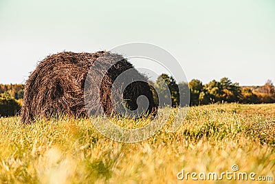 Tranquil pastoral scenery with haystack in autumn field on sunny bright day Stock Photo