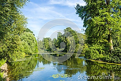 Tranquil Pond Framed by Lush Green Woodland Park Stock Photo