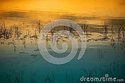 Tranquil pond reflecting the warm hues of an early evening sunset. Stock Photo