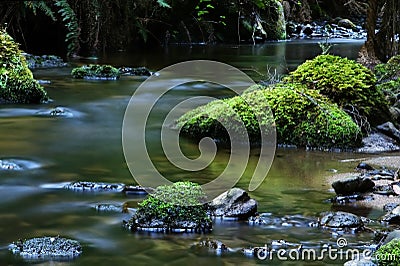 Tranquil River Stock Photo