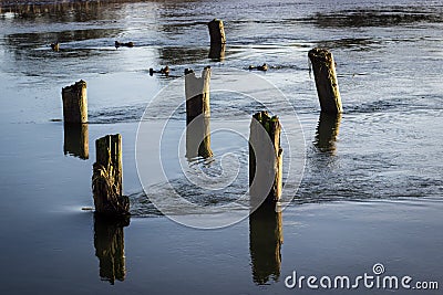 Tranquil River Flow Stock Photo