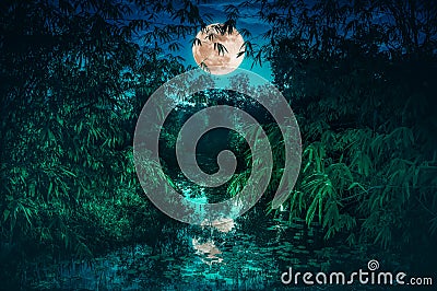 Tranquil river with full moon and bamboo trees. Serenity nature Stock Photo