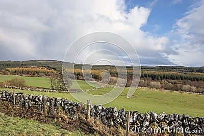 Tranquil rural scene in Scotland featuring sectioned pastures with bright green grass and deciduous forests with different foliage Stock Photo
