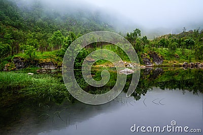 Tranquil Scene. A relaxing evening on shore of lake. Fog descends on green trees and bushes, which are reflected in the calm Stock Photo