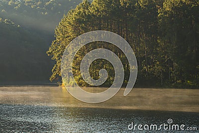 Tranquil scenery of lakeside forest in morning at Pang-ung, in Mae Hong Son,Thailand Stock Photo