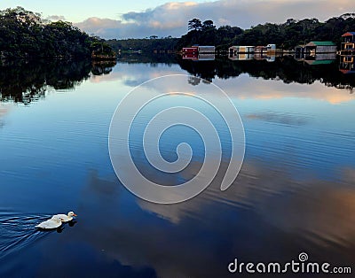 Glenelg River serene scene Stock Photo