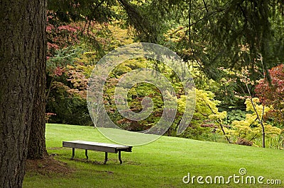 A Tranquil Spot Stock Photo