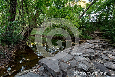 A Tranquil Spring or Summer Wooded Nature Outdoor Scene. Stock Photo