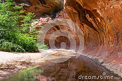 Tranquil stream flows through a tunnel of overhanging red rock standstone in a canyon in the American Southwest Stock Photo