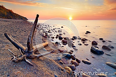 Baltic Sea coast tranquil sunshine. Trunk on beach Stock Photo