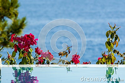 Tranquil view Stock Photo