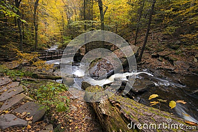 tranquil waterfall in Pennsylvania forest during autumn Stock Photo