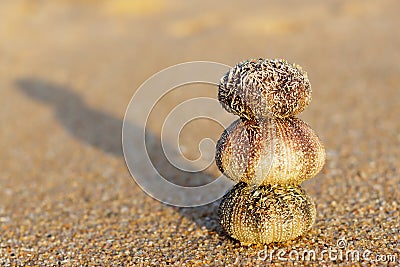 Tranquility on a beach Stock Photo