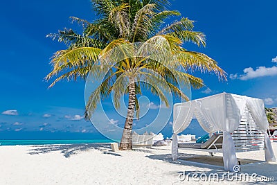 Tranquility beach lounge canopy. Relax carefree scene with palm trees pillows and beds in sunny tropical weather Stock Photo