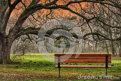 Autumn landscape. The tranquility of the park. Romantic and peaceful place. Autumn background Stock Photo