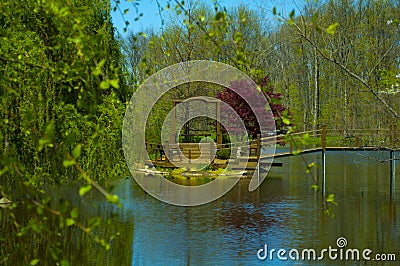 Tranquility On The Pond Stock Photo