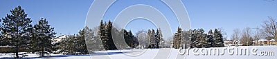 Tranquillity scene of a panoramic view of pine trees in winter park Stock Photo