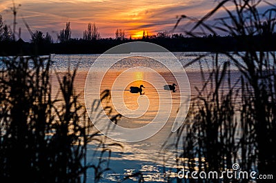 Tranquillity Stock Photo