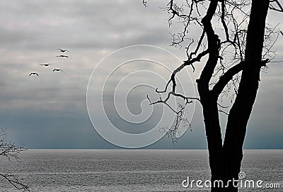 Tranquillity by the waters edge Stock Photo