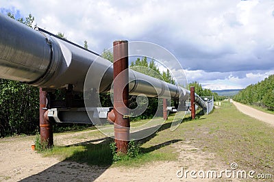 Trans Alaska Oil Pipeline Stock Photo