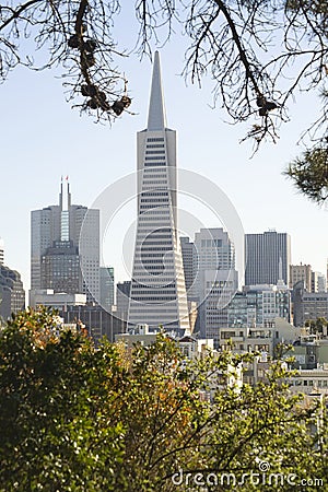 Transamerica Pyramid Building Editorial Stock Photo