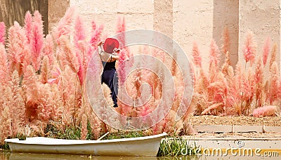 Woman walk in Fantasy Flower Dream Field with beautiful color Stock Photo