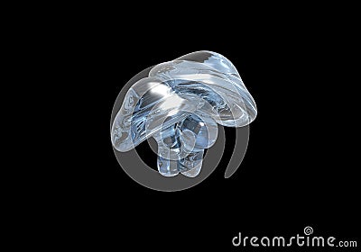 Translucent mushrooms isolated on a black background Stock Photo