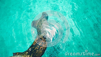 Transparant sea water with white sands Stock Photo