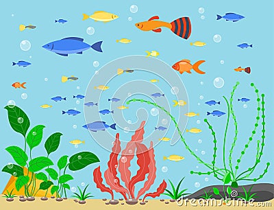 Transparent aquarium sea aquatic background vector illustration habitat water tank house underwater fish algae plants. Vector Illustration