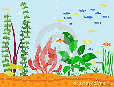 Transparent aquarium sea aquatic background vector illustration habitat water tank house underwater fish algae plants. Vector Illustration