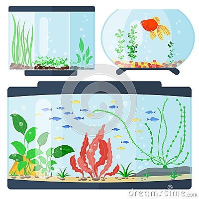 Transparent aquarium vector illustration habitat water tank house underwater fish tank bowl. Vector Illustration