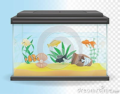 Transparent aquarium vector illustration Vector Illustration