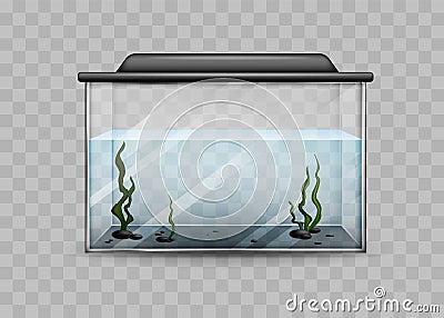 Transparent aquarium with water and algae isolated template Vector Illustration