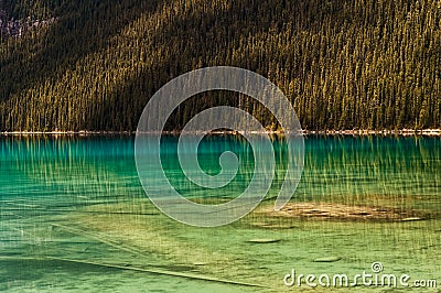 Transparent blue reflection Lake Water Pine Forest Stock Photo