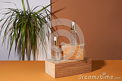 Transparent cosmetic amber glass dropper bottles staying on wooden podium near green plant. Vials with pipette caps for essential Stock Photo
