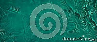 transparent dark green clear calm water wave surface texture banner Stock Photo