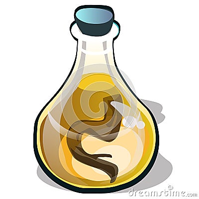 Transparent glass bottle with a tincture of ginseng root isolated on white background. Natural adaptogens. Vector Vector Illustration