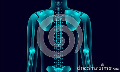 Transparent human body anatomy background lighting with hand shoulder hip chest backbone, xray tone style. illustration Vector Illustration