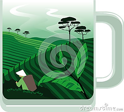 Producing a cup of tea Vector Illustration