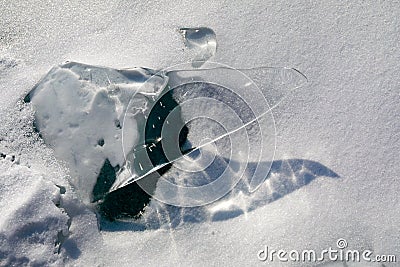 Transparent piece of ice on white snow. Stock Photo