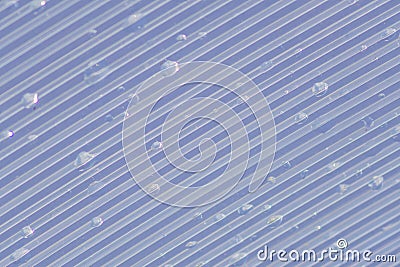 Transparent Polycarbonate plastic sheet with drops, background t Stock Photo