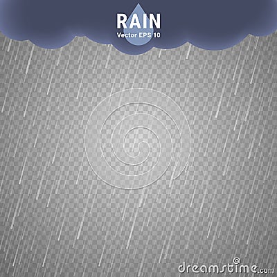 Transparent Rain Image Vector Illustration