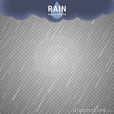 Transparent Rain Image Vector Illustration