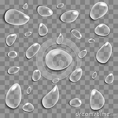 Transparent and realistic water droplets on a gray background. Vector Illustration