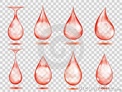 Transparent red drops Vector Illustration