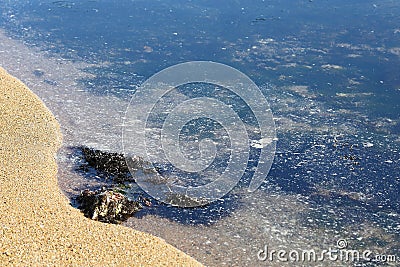 Transparent sea water and sandy beach contaminated with fish oil from fish factory. Ecology problem of environment pollution. Stock Photo